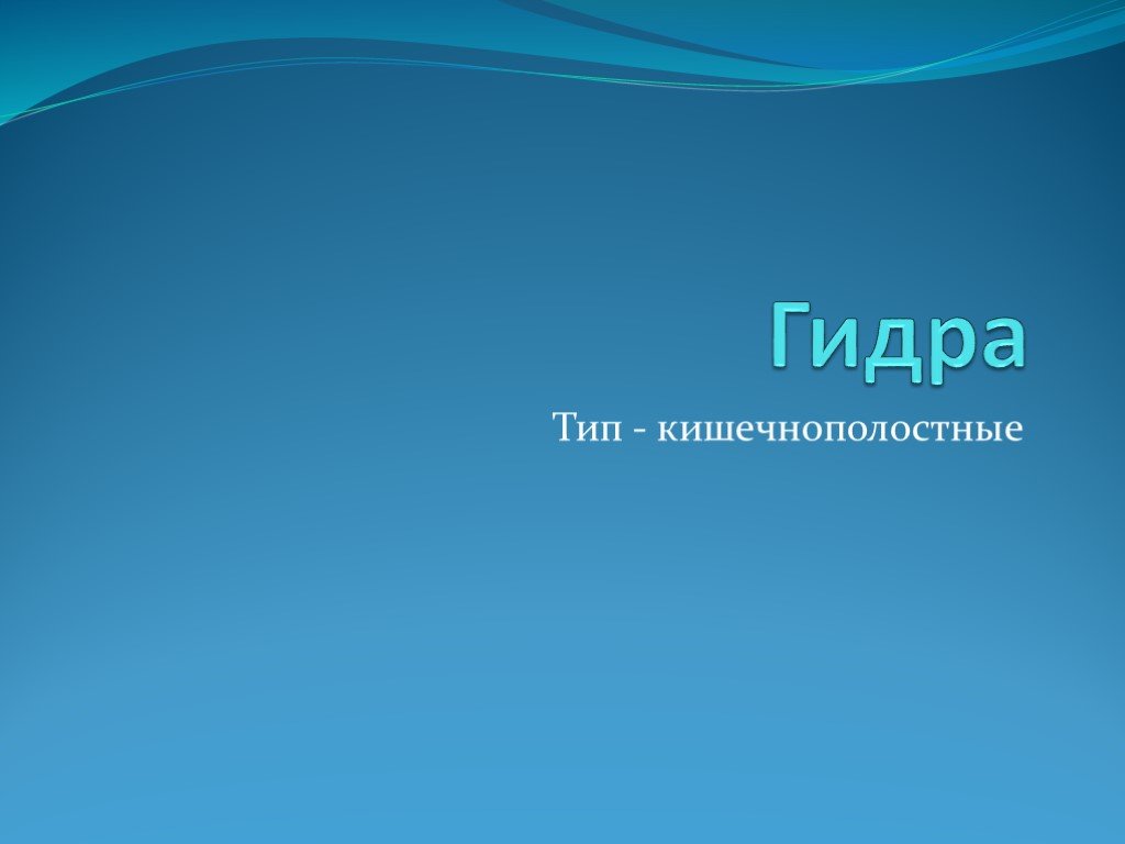 Кракен зеркала официальные