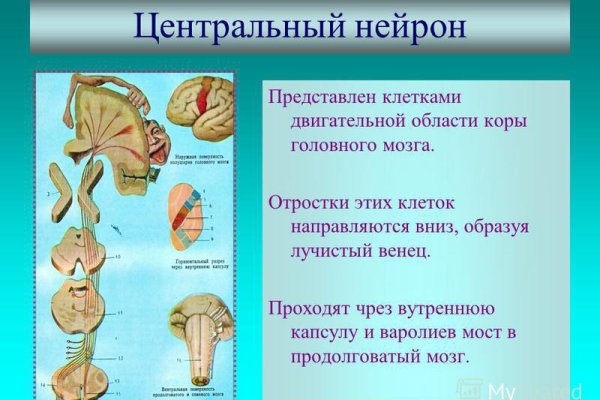 Зайти на сайт кракен