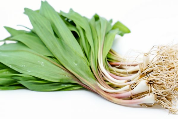 Kraken21 at сайт